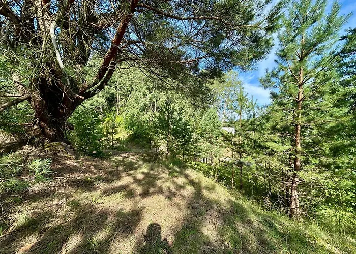 Wypoczynkowy Wiec - Sauna & Balia *